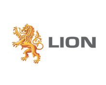 average case analysis example Lion-logo